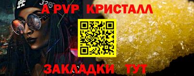 молекула духа Кингисепп