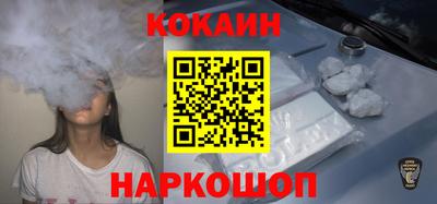 молекула духа Кингисепп