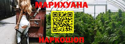 молекула духа Кингисепп