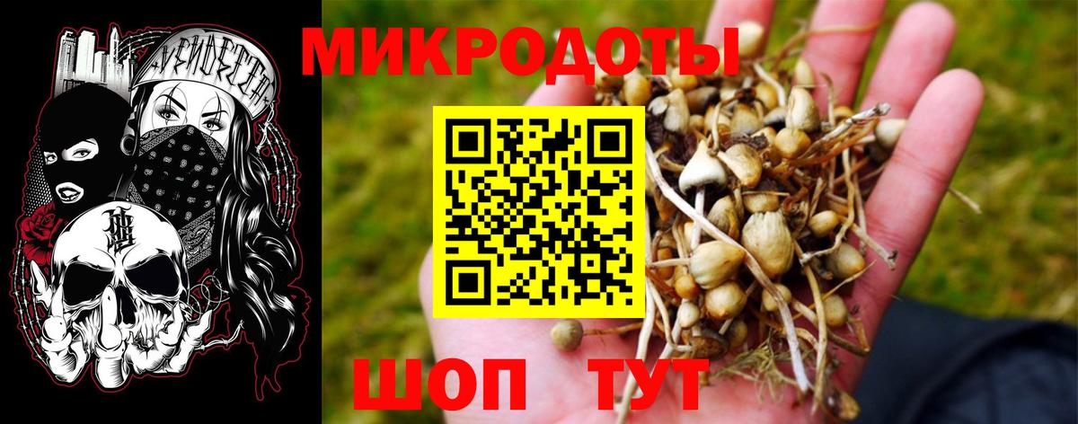 Галлюциногенные грибы мицелий Краснокаменск